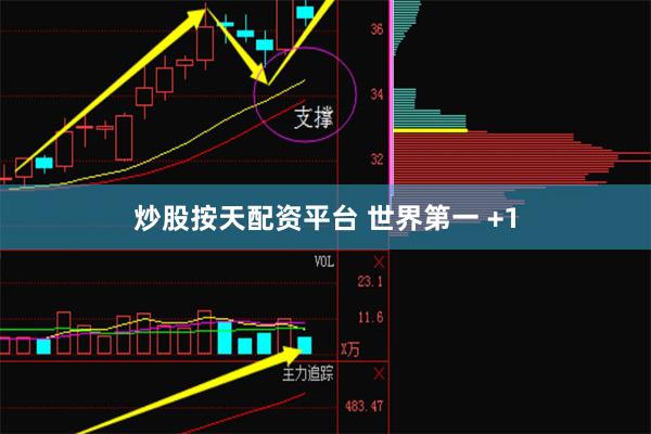 炒股按天配资平台 世界第一 +1