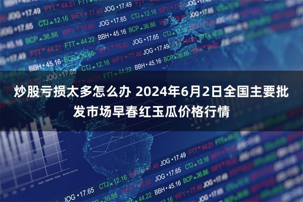 炒股亏损太多怎么办 2024年6月2日全国主要批发市场早春红玉瓜价格行情