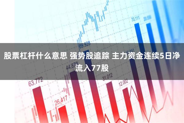 股票杠杆什么意思 强势股追踪 主力资金连续5日净流入77股