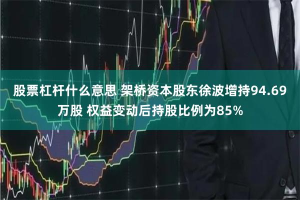 股票杠杆什么意思 架桥资本股东徐波增持94.69万股 权益变动后持股比例为85%