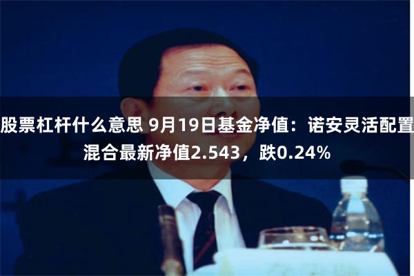 股票杠杆什么意思 9月19日基金净值：诺安灵活配置混合最新净值2.543，跌0.24%