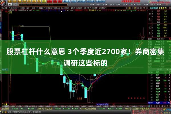 股票杠杆什么意思 3个季度近2700家！券商密集调研这些标的