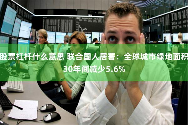 股票杠杆什么意思 联合国人居署：全球城市绿地面积30年间减少5.6%