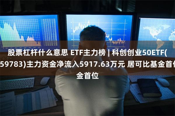 股票杠杆什么意思 ETF主力榜 | 科创创业50ETF(159783)主力资金净流入5917.63万元 居可比基金首位